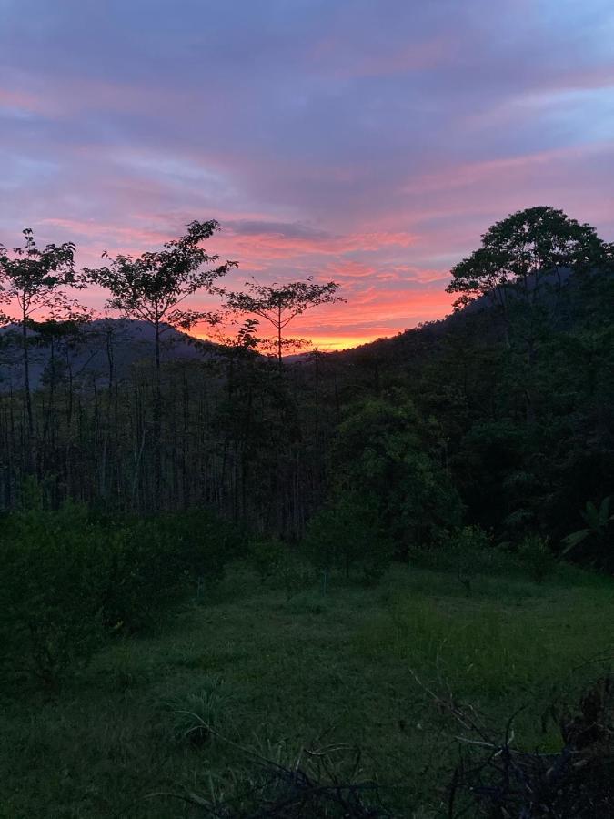 Khao Sok Hill Top Resort Khao Sok National Park Экстерьер фото