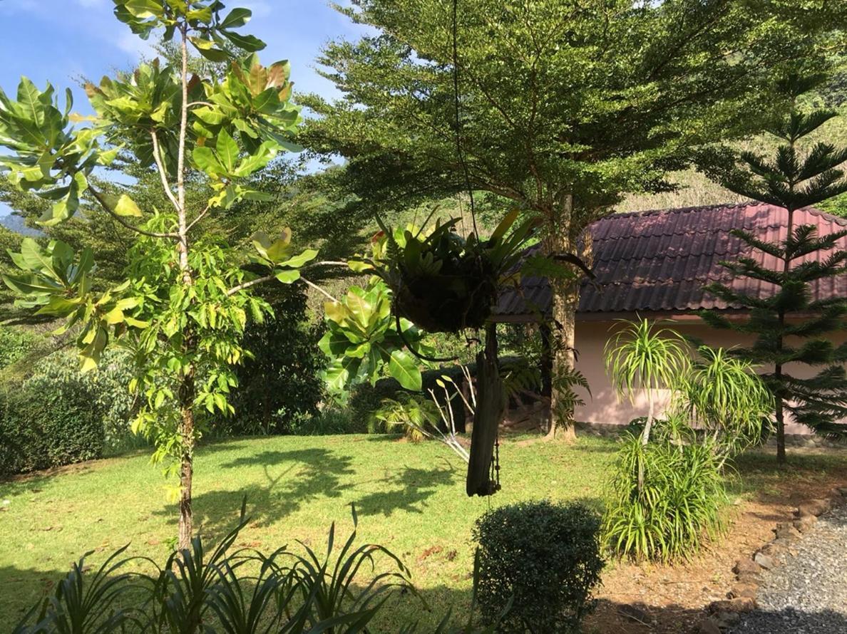 Khao Sok Hill Top Resort Khao Sok National Park Экстерьер фото